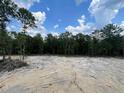 Expansive backyard with potential for landscaping and outdoor living, ideal for Gathering gatherings and recreation at 158 Travelers Ct, Lillington, NC 27546