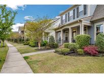 Charming homes line a sidewalk with manicured lawns, creating a welcoming neighborhood street view at 901 Wildflower Ridge Rd, Wake Forest, NC 27587
