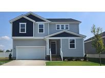 Two-story house with gray siding, white trim, and a two-car garage at 805 Emmer St, Rolesville, NC 27571