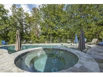 Inviting backyard pool and jacuzzi surrounded by patio space and lush trees at 133 Synandra Ln, Holly Springs, NC 27540