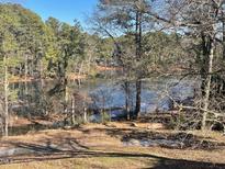 Scenic view of a serene lake, surrounded by lush greenery at 5112 Flint Ridge Pl, Raleigh, NC 27609