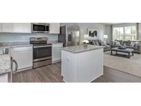 Modern kitchen with stainless steel appliances and granite countertops at 816 Bright Nova Way, Wendell, NC 27591