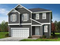 Two-story home with gray siding, white trim, and a two-car garage at 256 Windsor Mill Rd, Rolesville, NC 27571