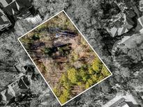 Aerial view of the wooded lot showcasing the property's privacy and natural setting at 3237 Birnamwood Rd, Raleigh, NC 27607