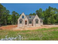 Striking new construction featuring a light brick facade, gabled roof, and energy-efficient windows set against a lush treeline at 1117 Delilia Ln, Wake Forest, NC 27587