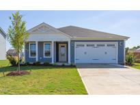 Newly constructed home with two-car garage and attractive landscaping at 133 Barn Door Dr, Lillington, NC 27546