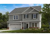 Two-story house with gray siding, white trim, and a two-car garage at 250 Tidal Pool Way, Cary, NC 27519