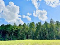 Forested land in a large plot, with a sunny blue sky and clouds above at 2644 Catheys Creek Cir, Wendell, NC 27591