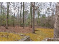 Expansive backyard with mature trees, offering privacy and a natural setting at 407 Granville Rd, Chapel Hill, NC 27514