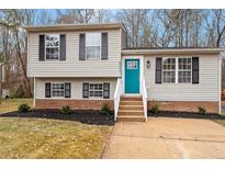 Charming split-level home with a bright blue front door and well-maintained landscaping at 8341 Wynewood Ct, Raleigh, NC 27616