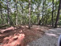 Beautiful wooded lot with mature trees and a gravel drive leading to a spacious cleared area at 106 Indian Cv, Louisburg, NC 27549