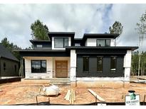 Modern home featuring a striking black and white exterior with contemporary architectural design at 95 Cherry Bark Dr, Youngsville, NC 27596