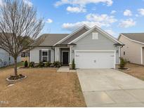 Charming single-story home featuring a two-car garage, landscaped yard, and light gray vinyl siding at 1207 Bluewater Way, Durham, NC 27703