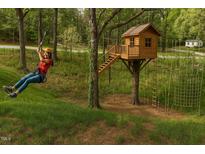 Fun playground with custom treehouse, zip line, and rope climb for outdoor adventure at 4228 Nc 42 Hwy, Raleigh, NC 27603