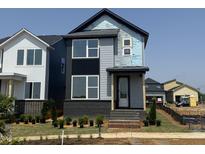 Modern home exterior with gray siding, black accents, and freshly planted landscaping at 14 Relaxing Way, Pittsboro, NC 27312