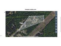 Aerial view of property with bordering street, 419, 470, 748 and 151 feet lot size and surrounded by trees at 113 Pineview Dr, Louisburg, NC 27549