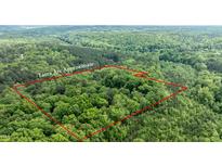 Expansive wooded lot surrounded by lush trees, offering privacy, with approximate property lines in red at 82 Deercorn Path, Moncure, NC 27559