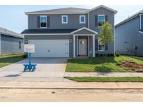Two-story home features a two-car garage, gray siding, newly planted grass and young tree in front yard at 640 White Birch Ln, Angier, NC 27501