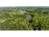 Stunning aerial view of the property with lush greenery and lake access showcasing the natural beauty at 435 Salt And Light Ln, Henderson, NC 27537