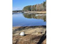 Beautiful lake view with docks, clear blue water, and a wooded shoreline on a sunny day at 420 Spring Ln, Henderson, NC 27537