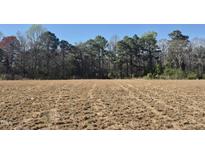 A large plot of land ready for building is visible in this real estate listing image at 214 Alden Way, Angier, NC 27501