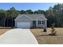 Charming single-story home with a well-manicured lawn and attached garage with a concrete driveway at 9254 Turkey Way, Middlesex, NC 27557