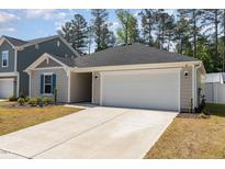 Charming single-story home featuring a spacious two-car garage and a well-maintained front yard at 1012 Ringhill Bluff Dr, Durham, NC 27704