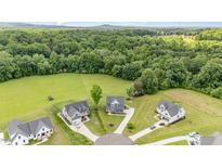 Stunning aerial view of homes on sprawling green lawns surrounded by lush, mature trees at 45 Leighann S Ct, Timberlake, NC 27583