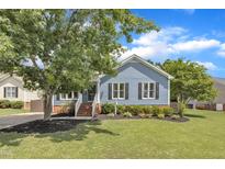 Charming blue home featuring a well-manicured lawn, mature tree, and welcoming brick stairs at 2006 Keokuk Ct, Apex, NC 27523