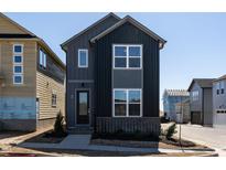 Charming new construction home with a modern design and eye-catching dark siding at 18 Relaxing Way, Pittsboro, NC 27312