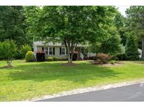 Charming home with mature trees, manicured lawn, and lush landscaping creating a serene and inviting curb appeal at 117 Rack Ct, Willow Springs, NC 27592
