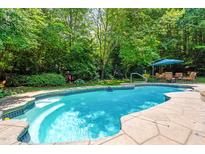 Inviting in-ground pool surrounded by lush greenery and stone patio perfect for outdoor relaxation and entertainment at 7401 Heartland Dr, Wake Forest, NC 27587