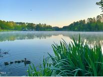 Picturesque pond view with a duck and ducklings swimming near lush, green vegetation at 2 Lake Village Dr, Durham, NC 27713