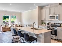 Modern kitchen features gray cabinets, stainless steel appliances, and a quartz countertop island with seating at 3113 Vitner Dr, Durham, NC 27704
