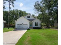 Charming single-Gathering home featuring a well-manicured lawn and attached two-car garage at 133 Black Cloud Dr, Louisburg, NC 27549
