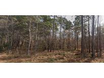 Image shows a wooded section of property, covered with pine and bare-branched trees at 8430 Orange Grove Rd, Chapel Hill, NC 27516