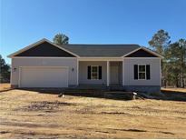 Newly constructed one-story home with gray siding, dark brown accents, and a two-car garage at 4983 (Lot 3) Ray Rd, Spring Lake, NC 28390