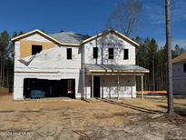 Two-story house with vinyl siding, large windows, and a covered porch at 283 Rocking Horse Ln, Sanford, NC 27332