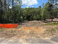 Beautiful land ready for construction with mature trees and some clearing already completed at 468 Blossom Trl, Lillington, NC 27546