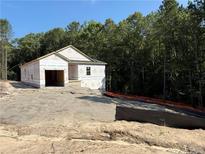 New home construction showcasing the facade and garage, surrounded by a wooded lot and a driveway at 20 Horse Trot Ln, Sanford, NC 27332