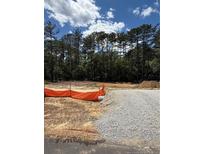 Picture of vacant land with trees at the back at 566 Blossom Trl, Lillington, NC 27546