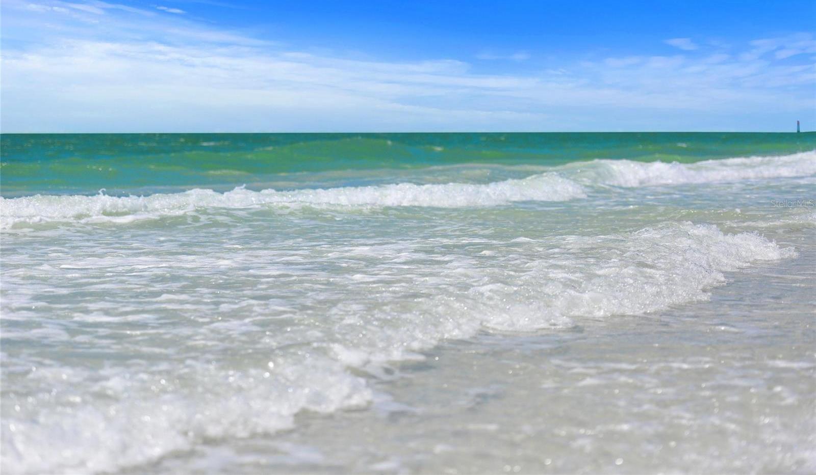 Photo #62