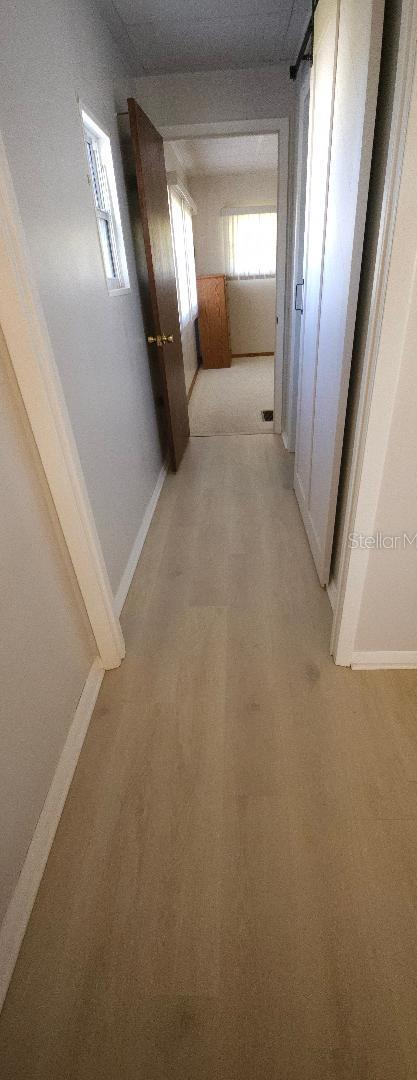 Photo #38
