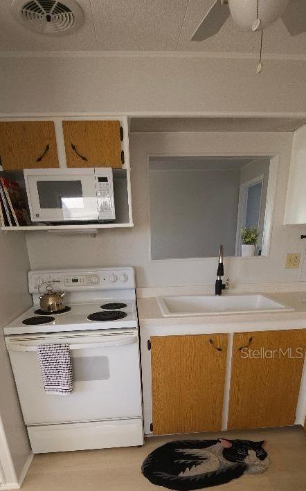 Photo #31