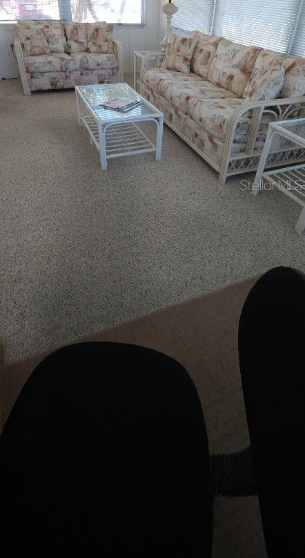 Photo #41