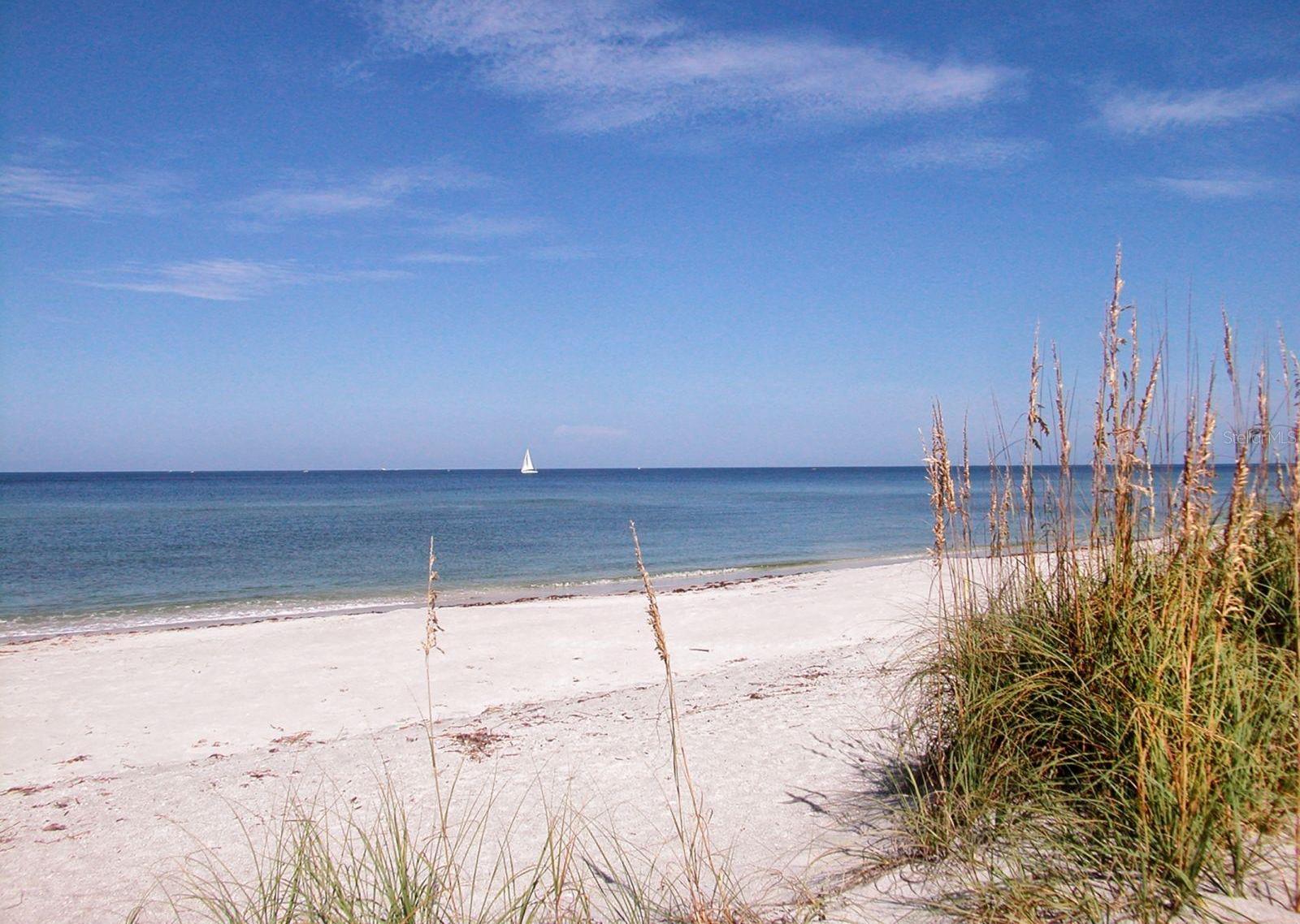 Photo #36