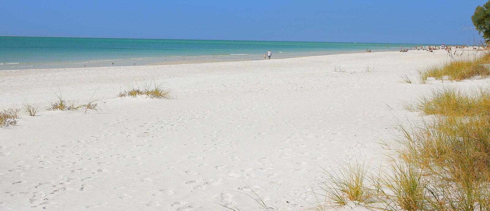 Photo #28