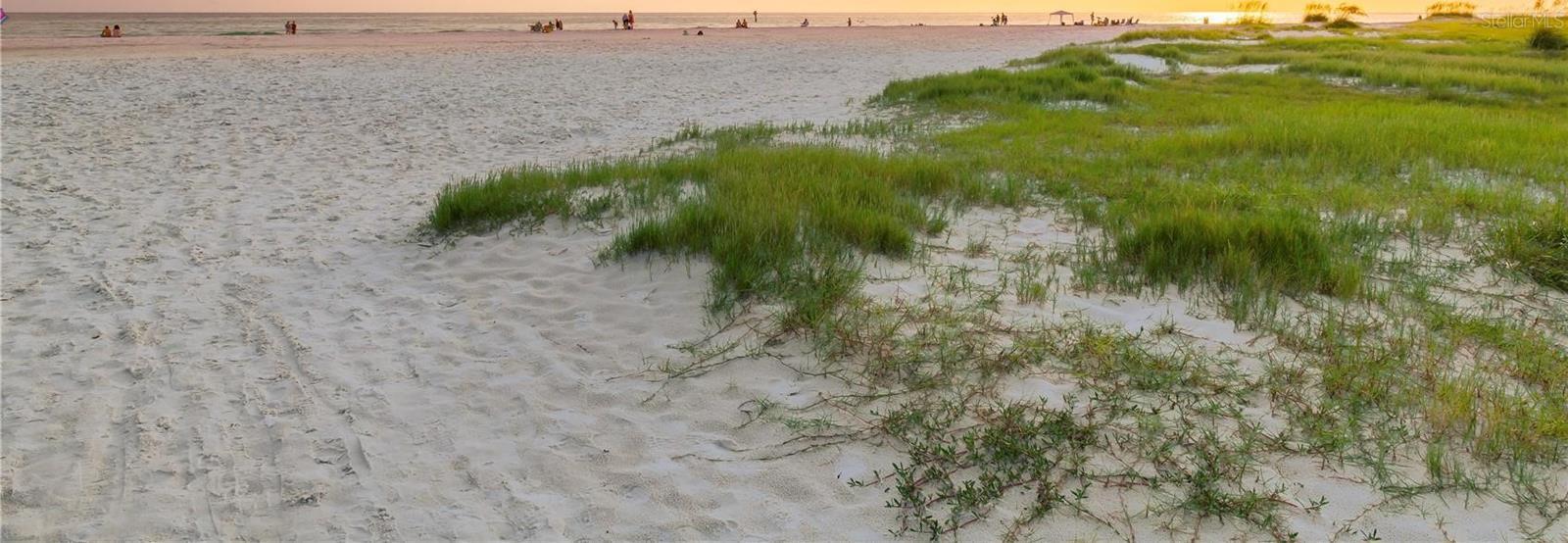 Photo #5