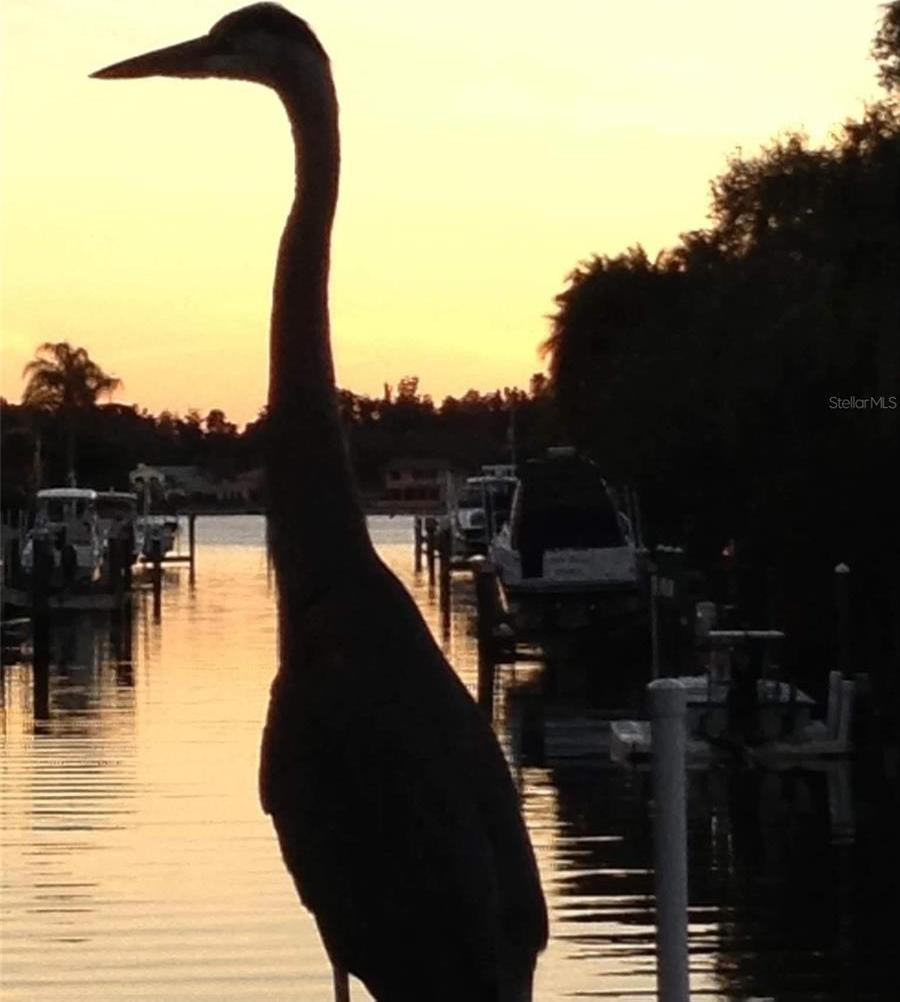 Photo #51