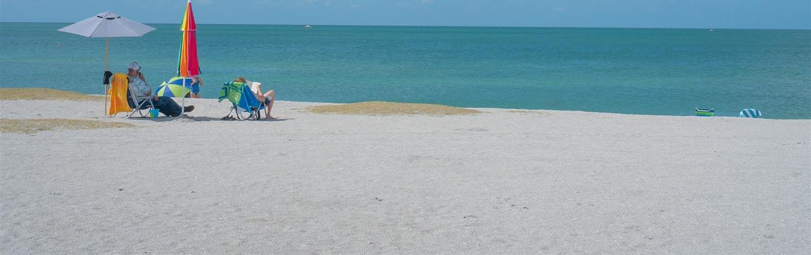 Photo #32